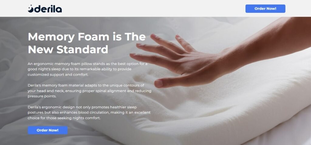 Derila Ergo Pillow Review