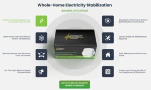 EcoWatt Power Saver Review