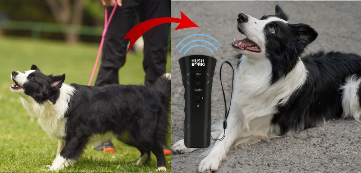 Hush Bark Collar Review: Features, Fit, Safety, and Where to Buy